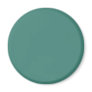 Background Color - Jade Magnet