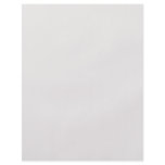 Background Color - Light Beige Full Color Flyer