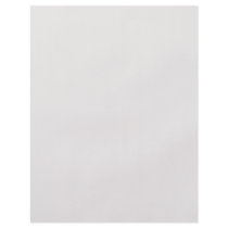 Background Color - Light Beige Full Color Flyer