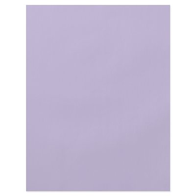 Background Color - Lilac Full Color Flyer by visualnewbie