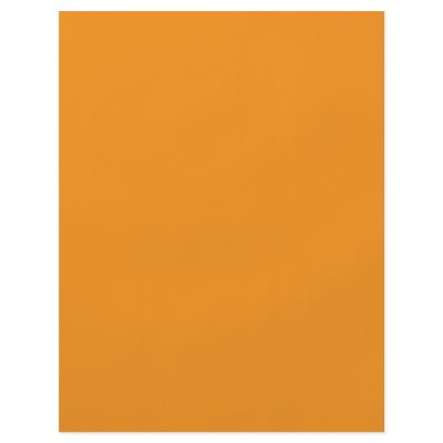 Background Color - Orange Custom Flyer by visualnewbie