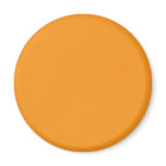 Background Color - Orange Magnets