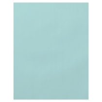 Background Color - Robins Egg Blue Flyer Design