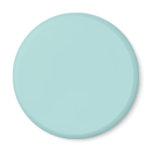 Background Color - Robins Egg Blue Refrigerator Magnet