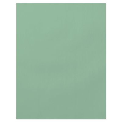 Background Color - Sage Custom Flyer by visualnewbie
