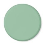 Background Color - Sage Refrigerator Magnets