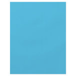 Background Color - Turquoise Flyer Design