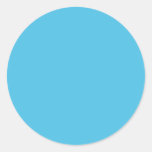 Background Color - Turquoise Sticker