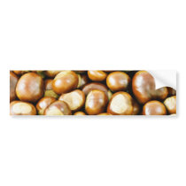 Background From Conkers bumper stickers by lifesphere Background From Conkers bumper stickers