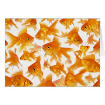 Background Showing a Large Group of Goldfish Greeting Card