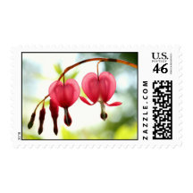 Backlight Bleeding Hearts Postage Stamp
