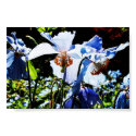 Backlit Canadian Blues posters by Katharsis Backlit Canadian Blues posters