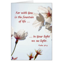Backlit Cherry Blossoms 2 Card