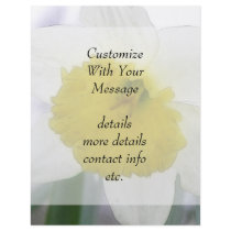 Backlit Daffodil Blossom Personalized Flyer