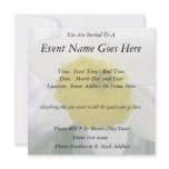 Backlit Daffodil Blossom Announcement