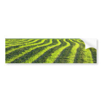 Backlit farmland bumper sticker