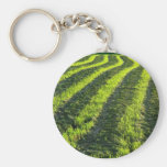 Backlit farmland key chain