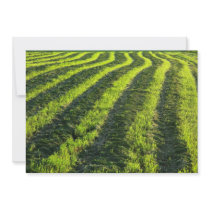 Backlit farmland personalized invite