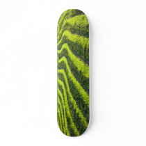 Backlit farmland skate board deck