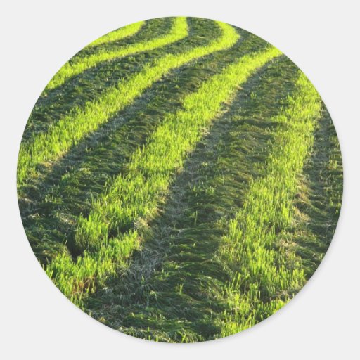 Backlit farmland sticker