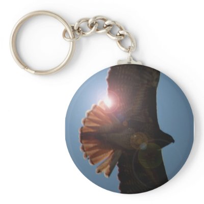 Backlit Hawk Keychain by dangerphoto