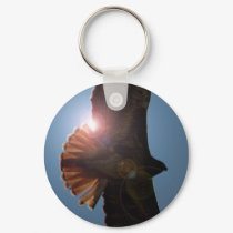 Backlit Hawk keychains by dangerphoto Backlit Hawk keychains