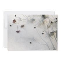 backlit Japanese anemone invitation