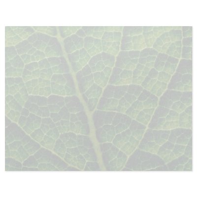 Backlit skunk cabbage leaf texture letterhead design by inspirelove