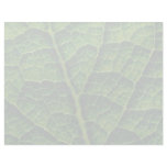 Backlit skunk cabbage leaf texture letterhead design