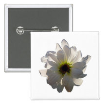 Backlit White Daisy Pin