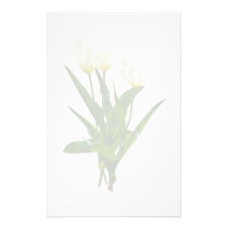 Backlit White Tulips stationery