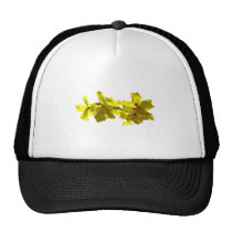Backlit Yellow Orchids hats