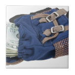 BackpackFullMoney051913.png Ceramic Tiles