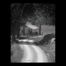 Backroad Flag posters