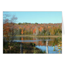 Backroad Pond cards