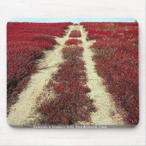 Backroads in blueberry fields, New Brunswick, Cana Mouse Pad