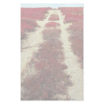 Backroads in blueberry fields, New Brunswick, Cana Custom Stationery