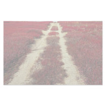Backroads in blueberry fields, New Brunswick, Cana Stationery