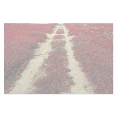 Backroads in blueberry fields, New Brunswick, Cana Stationery by beautifulclicks