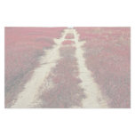Backroads in blueberry fields, New Brunswick, Cana Stationery