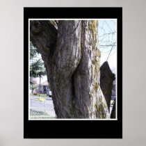 Backside of Tree Print