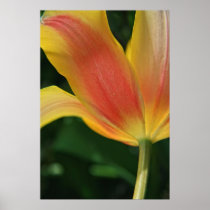 Backside Print