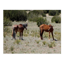 Backtalk Postcards