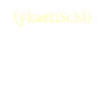 Backwards McSneaky Camo Shirt by mcsneaky001 Backwards McSneaky Camo Shirt
