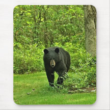 Backyard Black Bear Mousepad