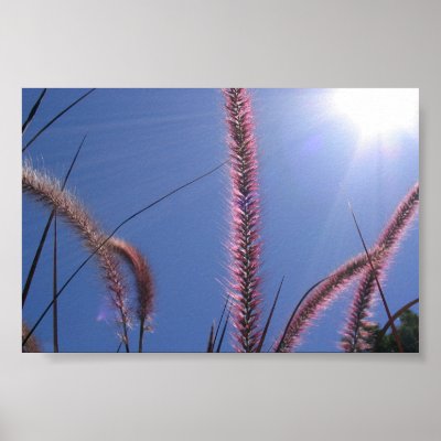 Backyard Bush 2 Posters by jeffmanii