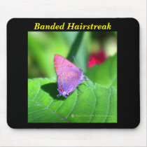 Backyard Butterfly Series #3 Mousepad