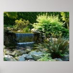 Backyard Garden Waterfall Print