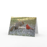 Backyard Gossip Cards