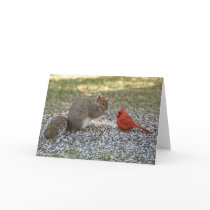 Backyard Gossip Cards